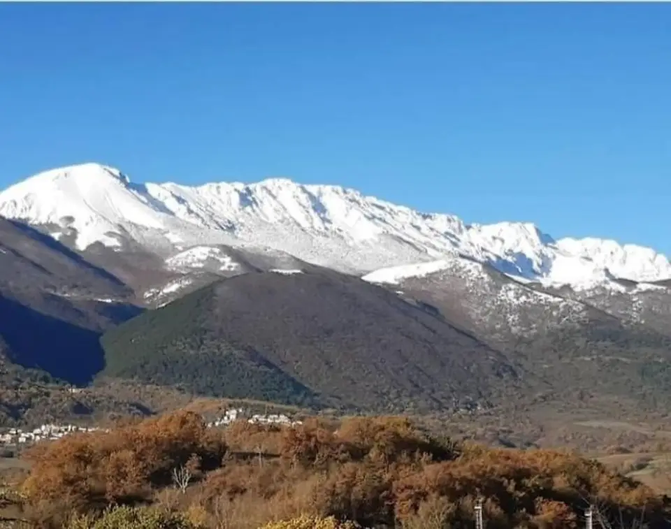 La cresta del Monte Sirente innevata sopra i boschi bruni del versante.